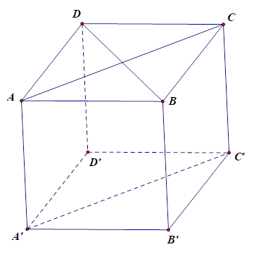Cho hình lập phương ABCD.A'B'C'D'. Góc giữa hai đường thẳng A'C' và BD bằng. (ảnh 1)
