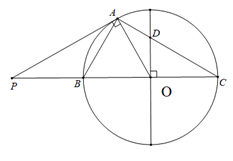 Cho tam giác \[ABC\left( {AB < AC} \right)\] nội tiếp trong đường tròn (ảnh 1)