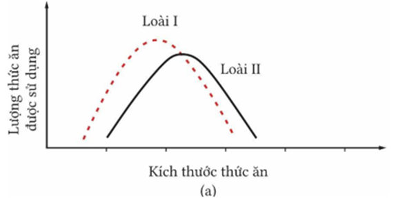 Cho hình minh họa về ổ sinh thái hai loài (I, II). Quan sát hình và hãy viết liền các số tương ứng với những nhận định đúng (sắp xếp số thứ tự tăng dần từ bé đến lớn). (ảnh 1)