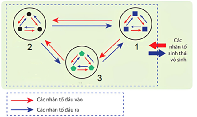 Sơ đồ minh hoạ một tổ chức sống trong sinh giới: Mỗi nhận định sau đây là Đúng hay Sai sơ đồ? (ảnh 1)
