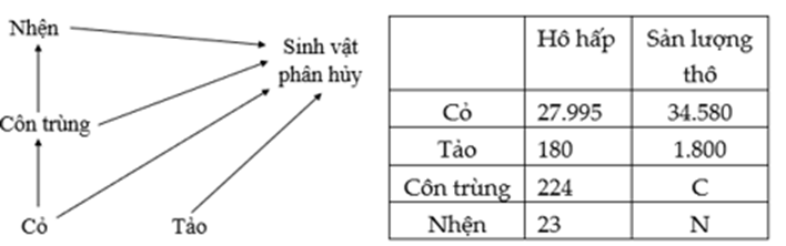 Hình dưới đây thể hiện lưới thức ăn và mức năng lượng (kcal/m2/năm) trong các quá trình chuyển đổi qua các thành phần trong 1 hệ sinh thái tự nhiên (ảnh 1)
