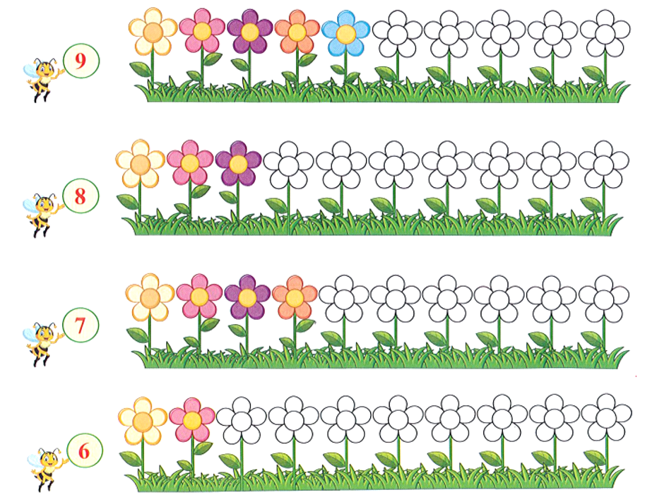 Tô màu thêm những bông hoa để được số bông hoa tương ứng với số đã cho: (ảnh 1)