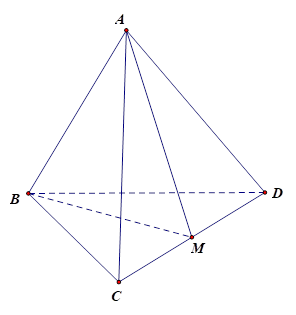 Cho tứ diện đều ABCD. Gọi M là trung điểm CD. Khẳng định nào sau đây đúng : (ảnh 1)
