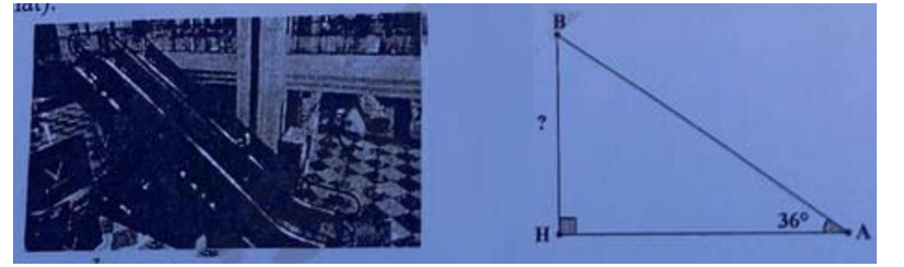 Thang cuốn ở siêu thị giúp khách hàng di chuyển từ tầng này sang tầng khác tiện lợi. Biết (ảnh 1)