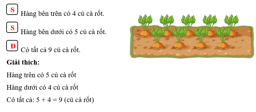 Đúng ghi Đ, sai ghi S: Hàng bên trên có 4 củ cà rốt. Hàng bên dưới có 5 củ cà rốt. (ảnh 2)