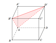Cho hình hộp ABCD.A'B'C'D'. Mặt phẳng AB'D' song song với mặt phẳng nào trong các mặt phẳng sau đây (ảnh 1)