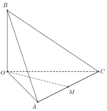 Cho tứ diện OABC có OA, OB, OC đôi một vuông góc nhau và OA = OB= OC = 3a. Tính khoảng cách giữa hai đường thẳng AC và OB. (ảnh 1)