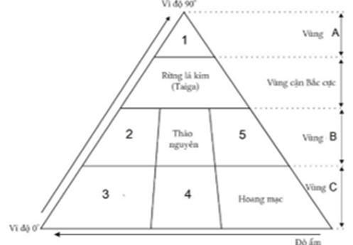Một khu sinh học có các đặc điểm như sau: Rừng rụng lá ôn đới có nhiệt độ trung bình mùa đông khoảng 0°C, nhiệt độ mùa hè có thể lên đến 35 °C (ảnh 1)