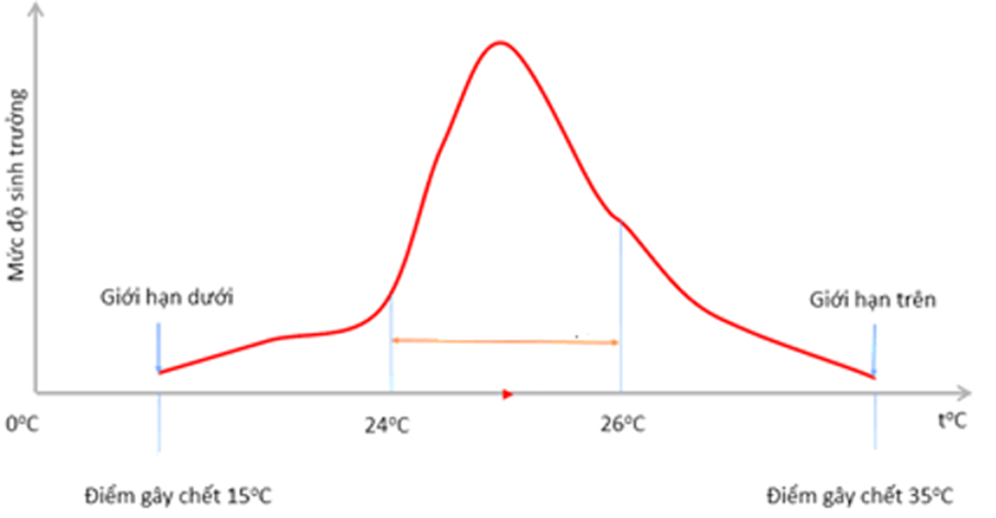 Hình bên mô tả giới hạn sinh thái nhiệt độ của tằm, hãy cho biết có bao nhiêu phát biểu sau đây đúng? (ảnh 1)