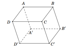 Cho hình hộp ABCD.A'B'C'D' (hình bên). Phép chiếu song song có phương chiếu AA' (ảnh 1)