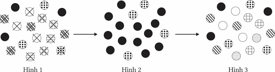 Ba hình dưới đây mô tả sự hình thành các chủng của loài A kháng lại chất X; theo học thuyết tiến hóa của Darwin về chọn lọc tự nhiên và hình thành loài (ảnh 1)