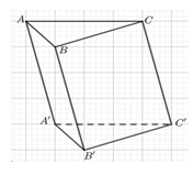 Số mặt của hình lăng trụ ABC.A'B'C' (tham khảo hình vẽ) là (ảnh 1)