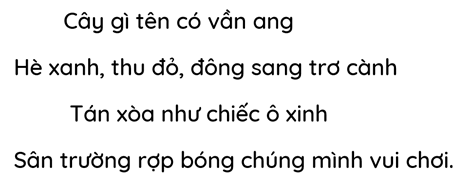 A black background with a black square

AI-generated content may be incorrect.