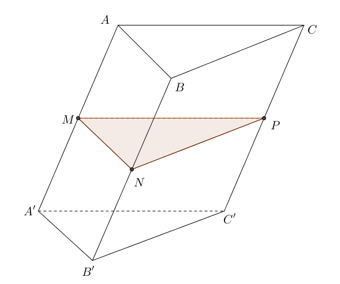 Cho hình lăng trụ ABC.A'B'C'. Gọi M,,N,,P theo thứ tự là trung điểm của các cạnhAA',BB', CC' (ảnh 1)