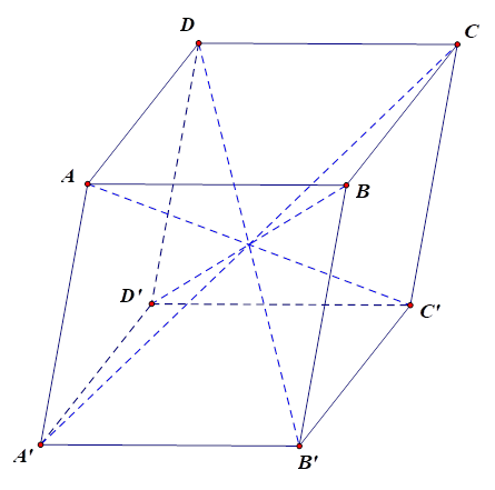 Số đường chéo của hình hộp ABCD.A'B'C'D' là (ảnh 1)