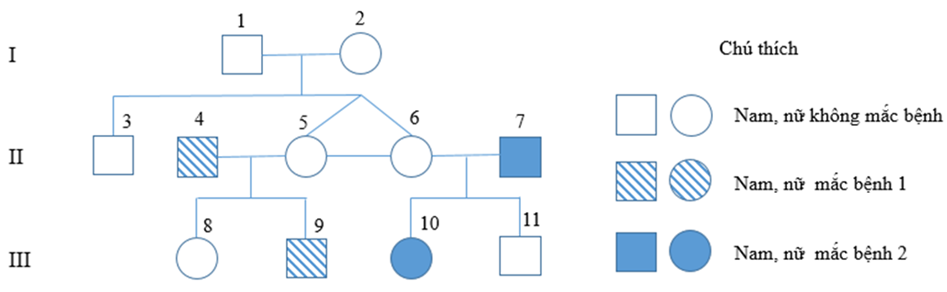 Ở người, xét hai gene, mỗi gene quy định một tính trạng, hai gene nằm trên hai cặp NST thường khác nhau. phả hệ bên mô tả sự di truyền của hai bệnh này trong các gia đình (ảnh 1)