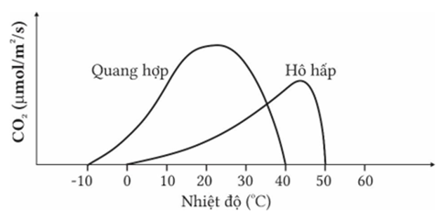 Giới hạn sinh thái về nhiệt độ lên quá trình quang hợp và hô hấp của thực vật được minh hoạ như hình bên. Nhận định nào sau đây đúng hay sai? (ảnh 1)