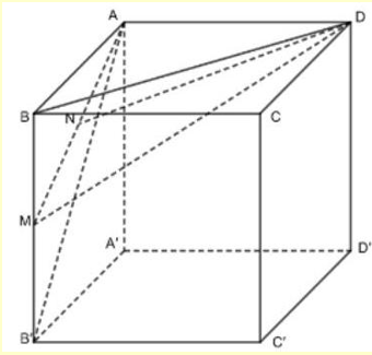 Cho hình hộp ABCD.A'B'C'D' là hình lập phương có độ dài cạnh 4a (ảnh 1)