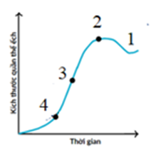 Biểu đồ bên dưới cho thấy kích thước của một quần thể chim cú lợn (Tyto alba) nhất định đã thay đổi theo thời gian (ảnh 1)