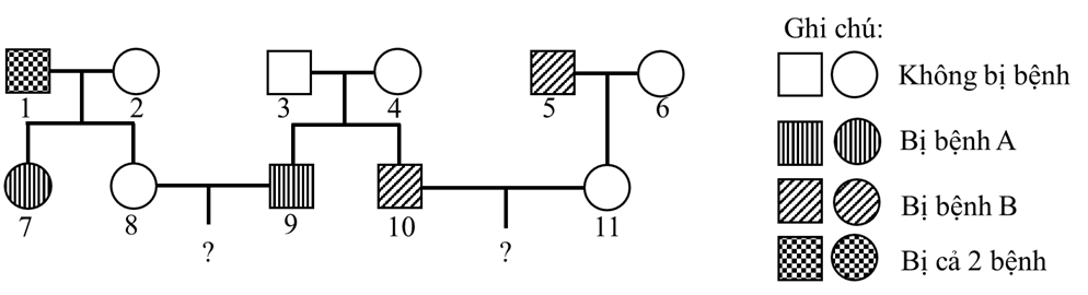 Sơ đồ phả hệ dưới đây mô tả sự di truyền của 2 bệnh A và B ở người; mỗi bệnh do một trong hai allele của một gene quy định (ảnh 1)