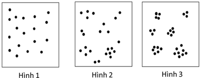 Hình ảnh sau diễn tả kiểu phân bố của cá thể trong quần thể. Trong các nhận xét dưới đây, có bao nhiêu nhận xét đúng? (ảnh 1)