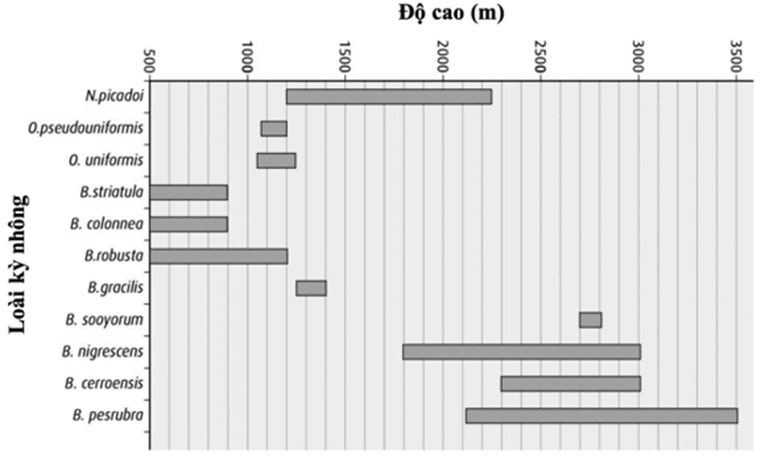 Sự đa dạng sinh học của kỳ nhông Costa Rica đã được nghiên cứu trên nhiều độ cao. Kỳ nhông thuộc ba chỉ: Nototriton, Oedipina và Bolitoglossa. (ảnh 1)