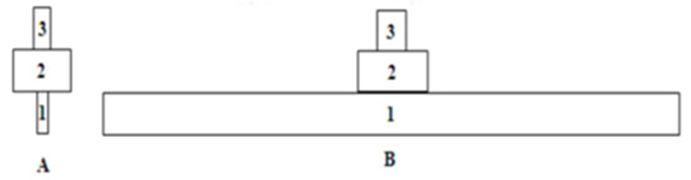 Khi tính sinh khối của một hệ sinh thái ở hai thời điểm khác nhau, người ta xây dựng được hai hình tháp A và B dưới đây: (ảnh 1)