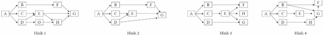 Giả sử lưới thức ăn trong một hệ sinh thái gồm các loài sinh vật được mô tả bằng sơ đồ ở hình bên. Hãy cho biết lưới thức ăn hình số bao nhiêu trong đó có 4 chuỗi thức ăn đi qua loài E? (ảnh 1)