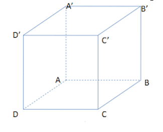 Cho hình hộp ABCD.A'B'C'D' có các cạnh bên AA',BB',CC',DD'. Khẳng định nào dưới đây sai (ảnh 1)