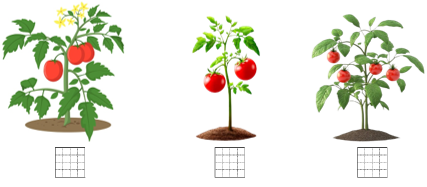 Đếm và điền (x) vào ô trống dưới cây có nhiều quả nhất. (ảnh 1)