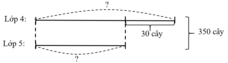 Khối lớp Bốn và khối lớp Năm trồng được tất cả 350 cây xanh. Khối lớp Bốn trồng được nhiều hơn (ảnh 1)