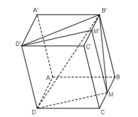 Cho hình hộp ABCD.A'B'C'D'. Gọi M,M' lần lượt là trung điểm các cạnh BC,,B'C (ảnh 1)