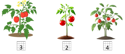 Đếm và điền (x) vào ô trống dưới cây có nhiều quả nhất. (ảnh 2)