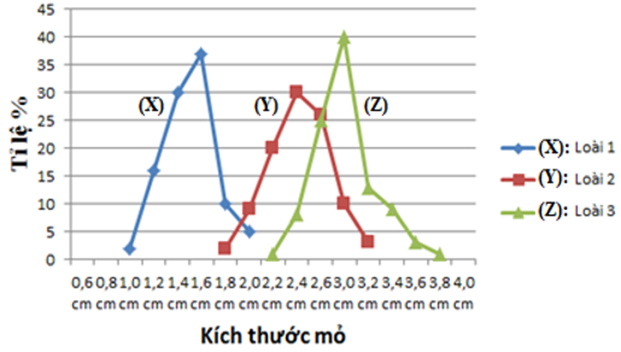 Xét 3 loài chim ăn hạt sống trong cùng 1 khu vực. Ổ sinh thái dinh dưỡng thể hiện thông qua tỉ lệ phần trăm các loại kích thước mỏ của 3 loài trên được biểu diễn ở đồ thị sau: (ảnh 1)