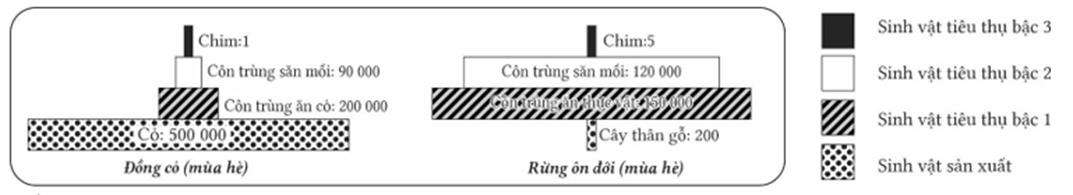 Hình mô tả tháp sinh thái thức ăn trên hệ sinh thái đồng cỏ (a) và rừng ôn đới (b), nhận định nào sau đây đúng hay sai? (ảnh 1)