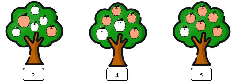 Tô màu vào số quả thích hợp:    (ảnh 2)