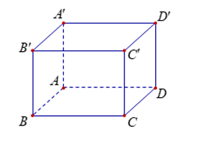 Cho hình hộp ABCD.A'B'C'D'. Khẳng định nào dưới đây sai (ảnh 1)