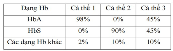 Ở người, phân tử hemôglôbin (Hb) được cấu tạo bởi 4 chuỗi pôlypeptit: gồm 2 chuỗi alpha (2α) và hai chuỗi beta (2β) (ảnh 1)