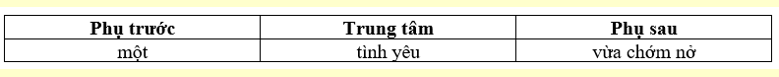 Chọn một cụm từ mad cấu tạo của nó KHÔNG cùng nhóm với các cụm từ còn lại. (ảnh 2)