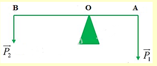 Một người gánh một thùng gạo nặng 300N và một thùng ngô nặng 200N Đòn gánh dài 1m. Hỏi vai người đó phải đặt ở điểm nào, chịu một lực bằng bao nhiêu? Bỏ qua trọng lượng của đòn gánh? (ảnh 1)