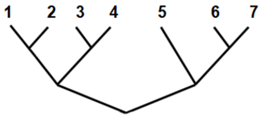 Hình bên mô tả cây phát sinh chủng loại, loài số bao nhiêu có mối quan hệ họ hàng xa nhất với loài 1? (ảnh 1)