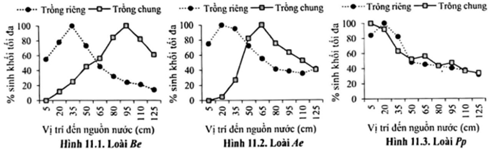 Sự sinh trưởng của ba loài thực vật thân thảo Be, Ae và Pp ở đồng cỏ được nghiên cứu bằng cách trồng riêng rẽ hoặc trồng chung với nhau, (ảnh 1)