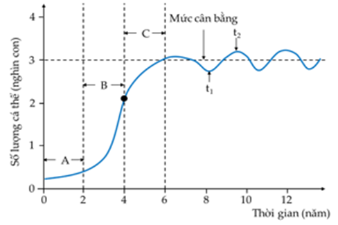 Đồ thị bên mô tả sự thay đổi số lượng cá thể của một quần thể động vật giả định trong điều kiện môi trường tương đối ổn định theo thời gian (ảnh 1)