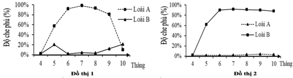 Hai loài động vật không xương sống A và B cùng sinh sống ở vực nước biển ôn đới, chúng có giai đoạn trưởng thành sống cố định, ăn các mảnh vụn hữu cơ (ảnh 1)