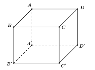 Cho hình hộp ABCD.A'B'C'D'. Mặt phẳng AB'D' song song với mặt phẳng nào trong các mặt phẳng sau đây (ảnh 1)