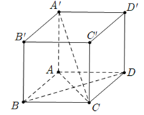 Cho lập phương ABCD.A'B'C'D' Số đo của góc giữa hai đường thẳng A'C và BD bằng (ảnh 1)