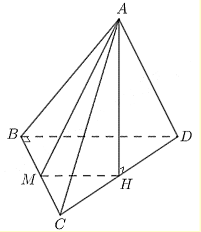 Cho tứ diện ABCD có BCD là tam giác vuông tại đỉnh B (ảnh 1)