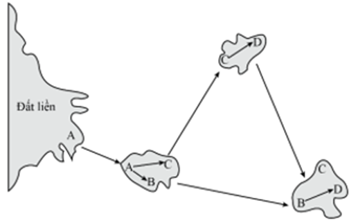 Nhận định nào sau đây là đúng hay sai khi nói về sơ đồ hình thành loài sau đây? (ảnh 1)