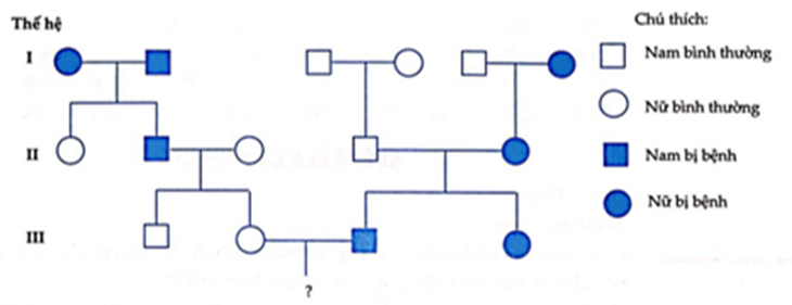 Cho phả hệ về một bệnh di truyền đơn gene ở người như sau. Từ phả hệ trên, cho các phát biểu sau: (ảnh 1)