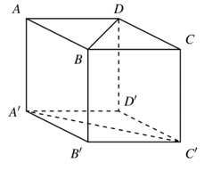 Cho hình lập phương ABCD.A'B'C'D' (hình bên). (ảnh 1)